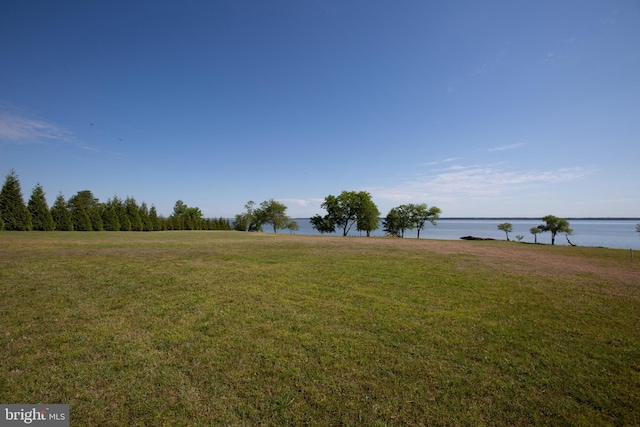 view of yard with a water view