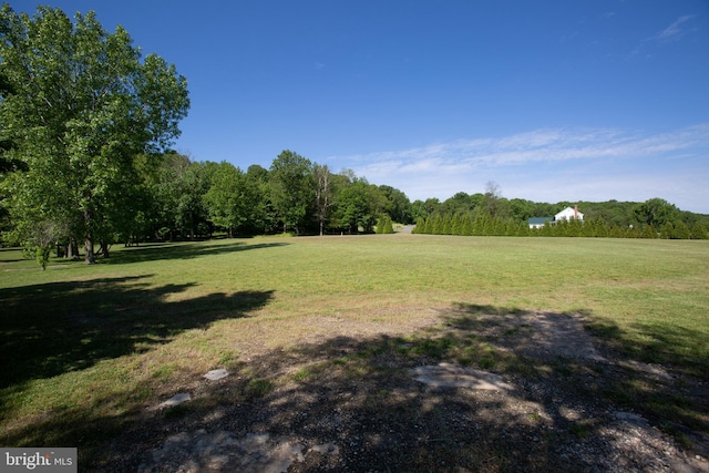 view of yard with a rural view