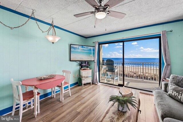 living room with ceiling fan and hardwood / wood-style flooring