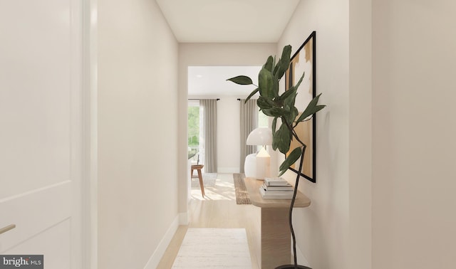 hallway with light wood-type flooring