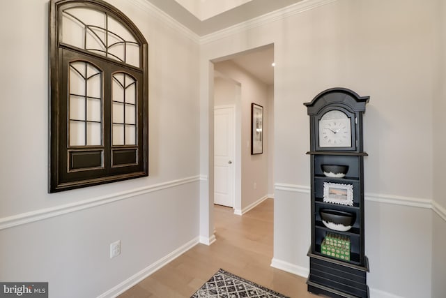 hall featuring wood-type flooring and crown molding