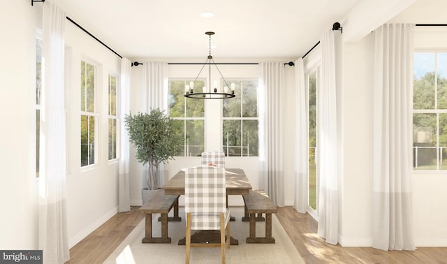 dining room with a notable chandelier and light hardwood / wood-style flooring