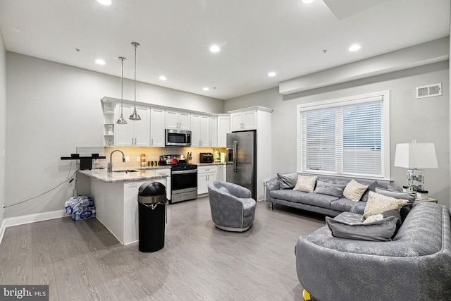 living room featuring light hardwood / wood-style floors and sink