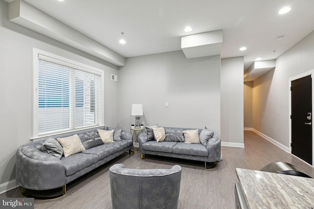 living room with wood-type flooring