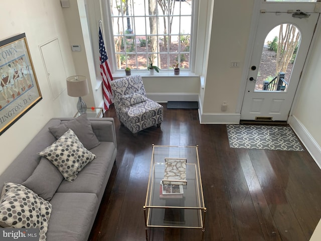 foyer with dark wood-type flooring