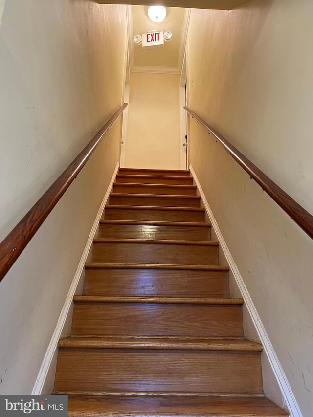 stairway featuring wood-type flooring and crown molding