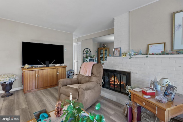 living room with a fireplace and light wood-type flooring