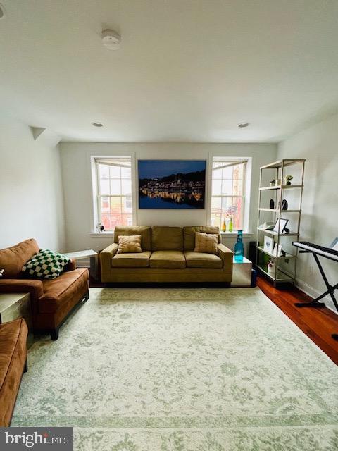 living room featuring a healthy amount of sunlight and hardwood / wood-style flooring