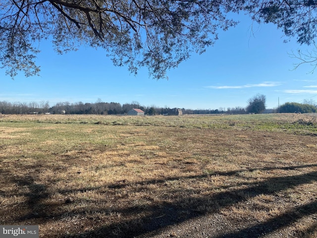 view of yard featuring a rural view