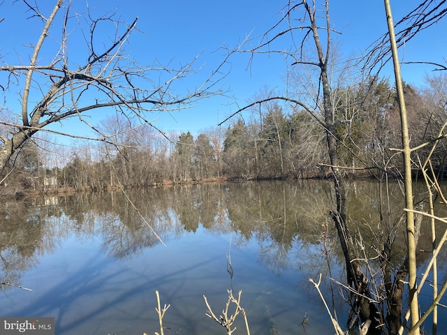 10031 Boteler Rd, Midland, VA 22728 - water view featuring a forest