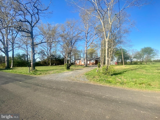 10031 Boteler Rd, Midland, VA 22728 - view of road