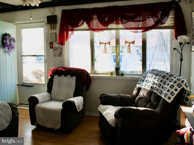 living area with hardwood / wood-style flooring and a wealth of natural light