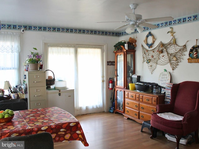 bedroom featuring wood-type flooring, multiple windows, and ceiling fan