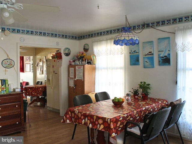 dining space featuring ceiling fan, hardwood / wood-style floors, and a healthy amount of sunlight