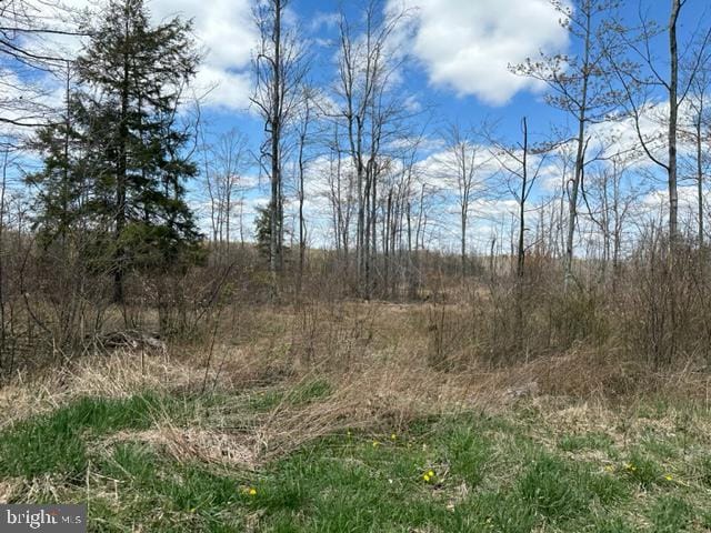 Cherry Ridge Rd, Mount Storm WV, 26739 land for sale