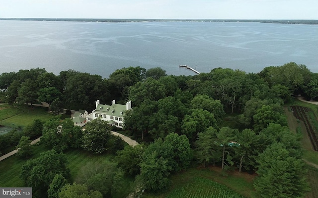 birds eye view of property with a water view and a rural view