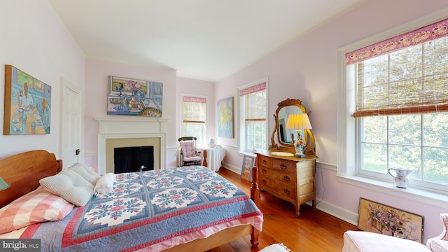 bedroom featuring wood-type flooring and multiple windows