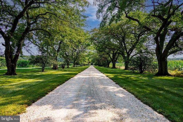 view of road