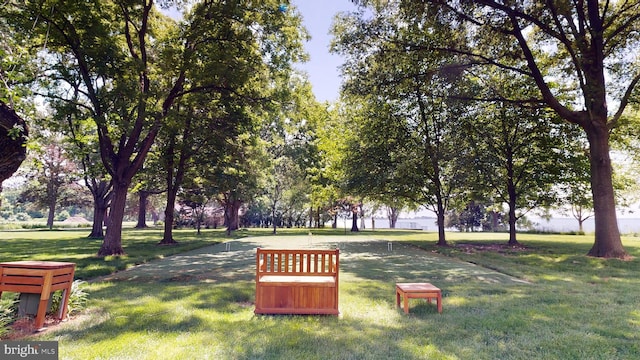 view of property's community featuring a yard