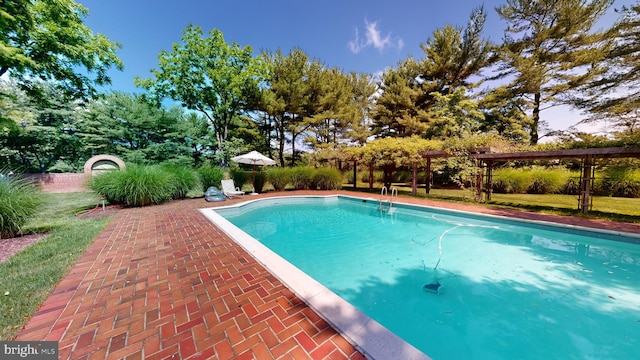 view of pool with a patio and a lawn