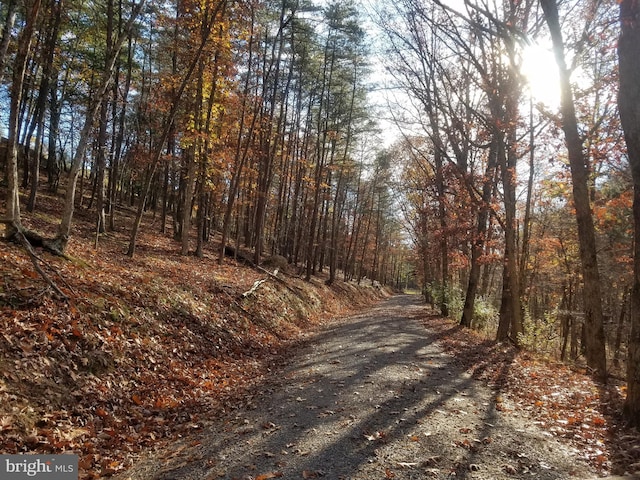 Church Hollow Rd, Romney WV, 26757 land for sale