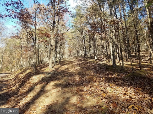 Listing photo 2 for Church Hollow Rd, Romney WV 26757