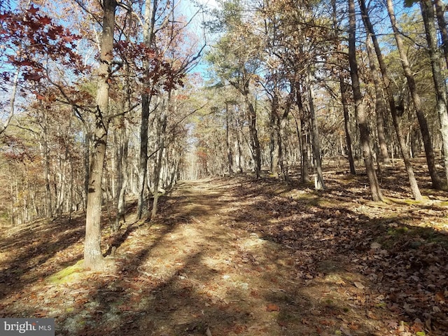 Listing photo 3 for Church Hollow Rd, Romney WV 26757