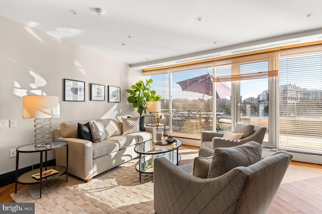 living room featuring light hardwood / wood-style floors