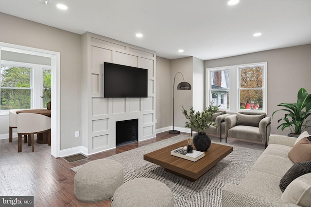 living room featuring dark hardwood / wood-style flooring and a large fireplace