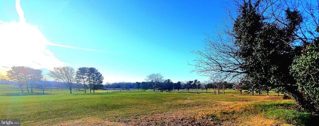 view of yard featuring a rural view