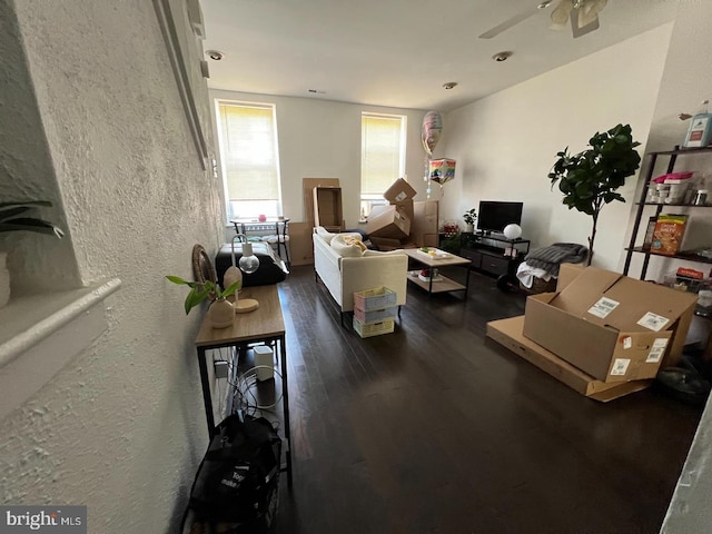 2035 N 15th St, Philadelphia, PA 19121 - living room featuring dark wood-type flooring, a textured wall, and ceiling fan