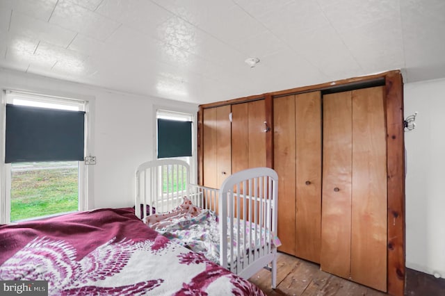 bedroom with light wood-type flooring and two closets