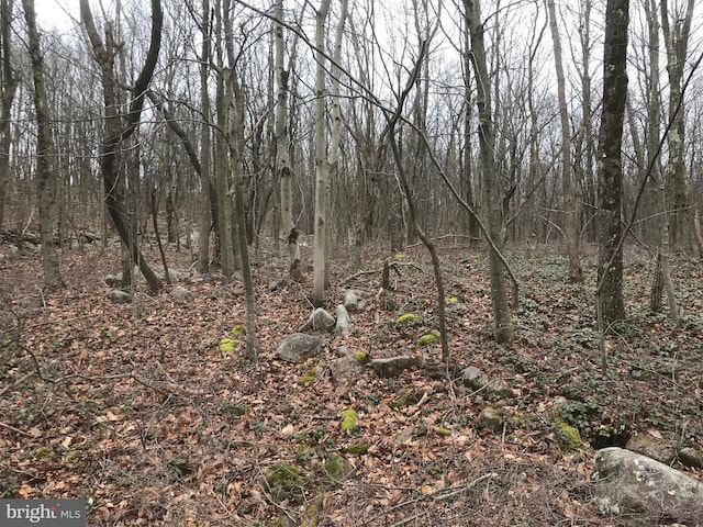 LOT367 Sparrow Ln, Jim Thorpe PA, 18229 land for sale