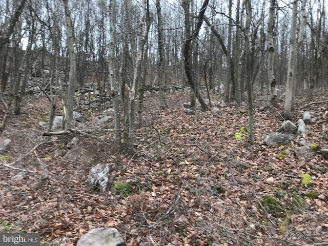 Listing photo 2 for LOT367 Sparrow Ln, Jim Thorpe PA 18229