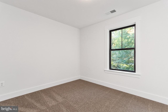 unfurnished room with carpet floors and plenty of natural light