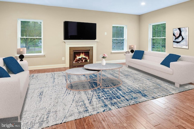 living room with light hardwood / wood-style flooring