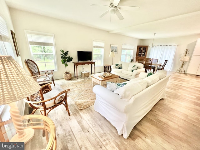 living room featuring ceiling fan with notable chandelier and light wood-type flooring