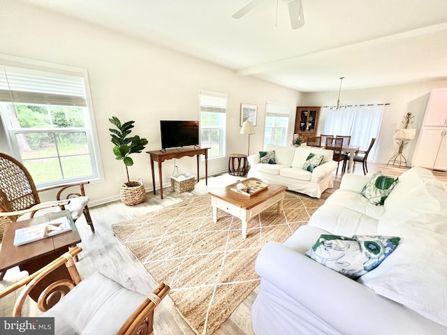 living room with ceiling fan with notable chandelier and light hardwood / wood-style floors