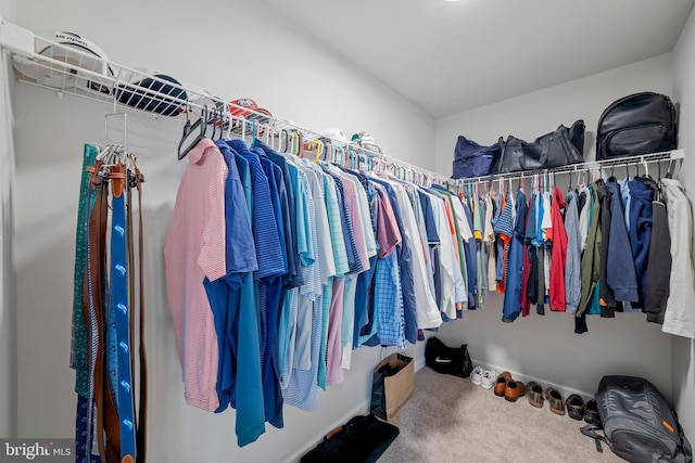 walk in closet featuring carpet floors