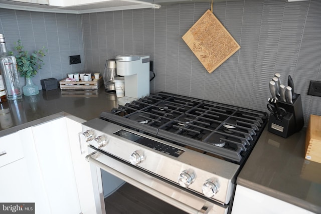 interior details with stainless steel range and white cabinets