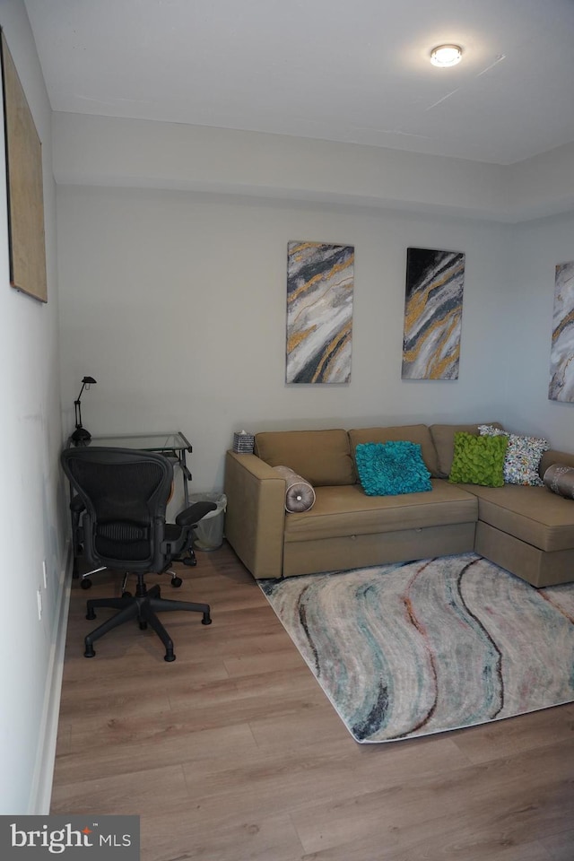 living room with light wood-type flooring