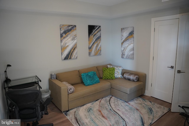 living room with dark hardwood / wood-style flooring