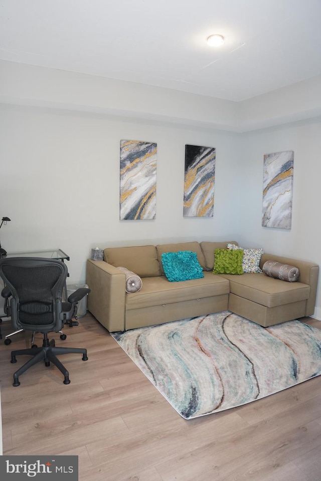 living room featuring hardwood / wood-style floors