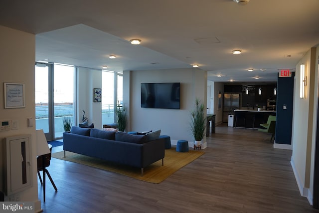 living room featuring expansive windows and dark wood-type flooring