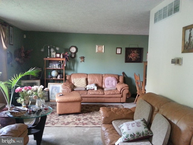 carpeted living room with a textured ceiling