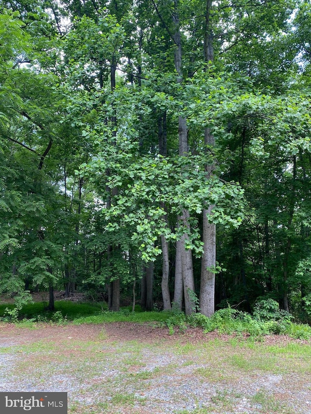 6404 Hickory Bnd, Clinton MD, 20735 land for sale