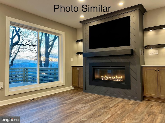 room details featuring a fireplace and hardwood / wood-style floors