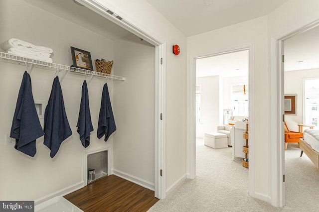 mudroom with carpet