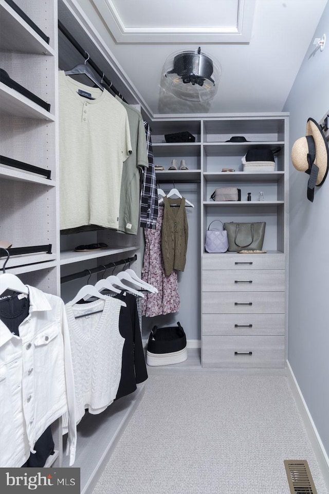 walk in closet with carpet floors