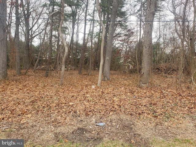 458 Oakshade Rd, Shamong NJ, 08088 land for sale